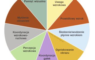 Umiejętności wzrokowe a nauka w szkole